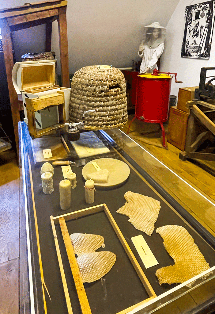 Ausstellung zur Bienenzucht und Imkerei