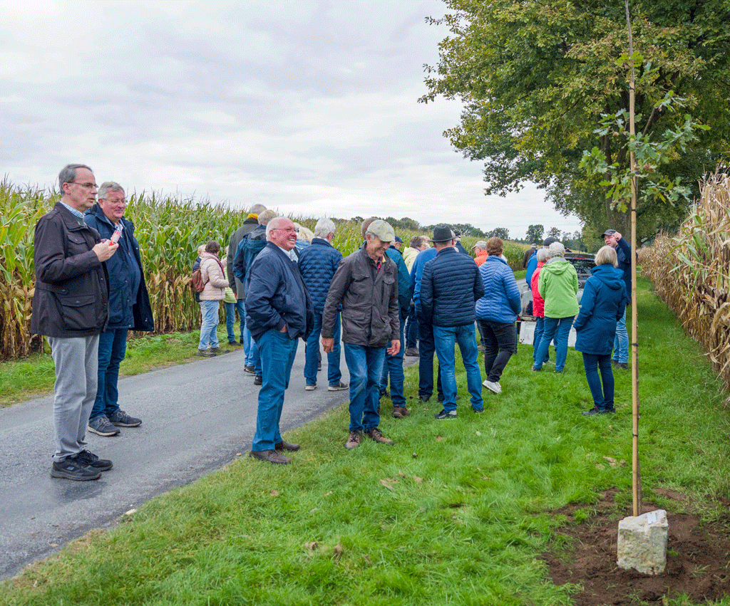 Die Schnatgang-Eiche