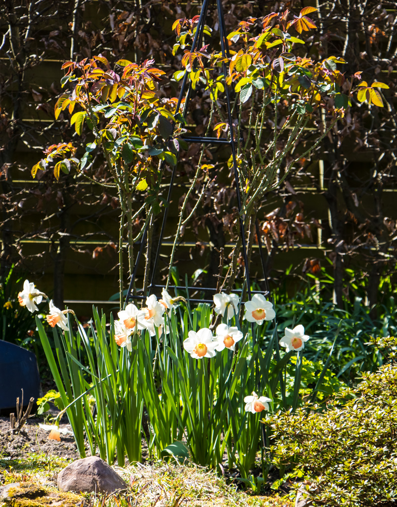 Plattdeutsche Ostergr��e